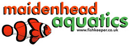 Maiden Head Aquatics Maiden Head Aquatics