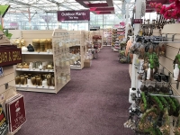 Coleta and Tyson, Beverly, Yorkshire