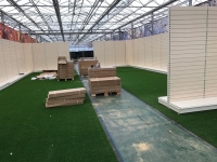 Coleta and Tyson, Beverly, Yorkshire